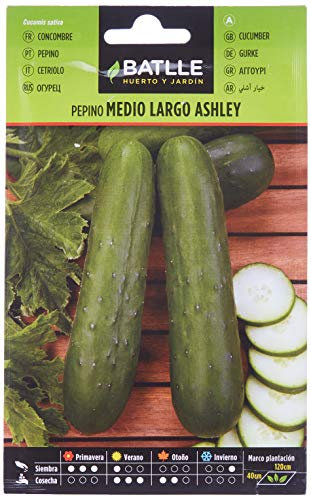 Semillas Batlle Concombre Ashley MI-Long