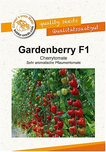 Tomatensamen Gardenberry - Tomatoberry Garden F1 Portion