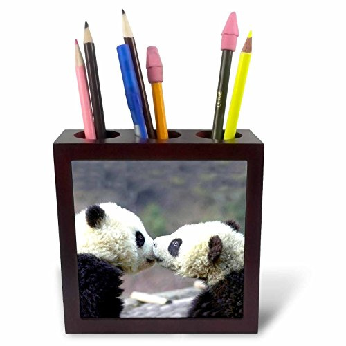 3dRose LLC Baby Pandas 5-Inch Tile Pen Holder