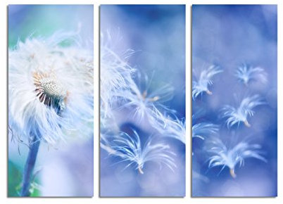 Paul Sinus Art 130x90cm – Keilrahmenbild Pusteblume Wind verträumt blau 3teiliges Wandbild auf Leinwand und Keilrahmen - Fotobild Kunstdruck Artprint