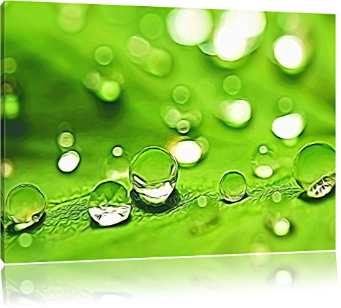 Pixxprint Wasserperlen auf grünem Blatt, Größe: 120x80cm, Leinwandbild, fertig gespannt, Wandbild, Dekoration, Kunstdruck, kein Poster
