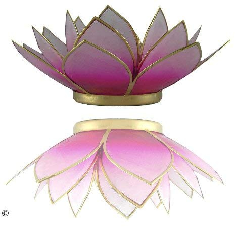 Trimontium tl12020g Porte-Bougie Chauffe-Plat en Forme d'une dreiblättrigen Lotus, Coquillage de Capiz, 14 x 14 x 8 cm, Blanc/Rose, 14 x 14 x 8 cm