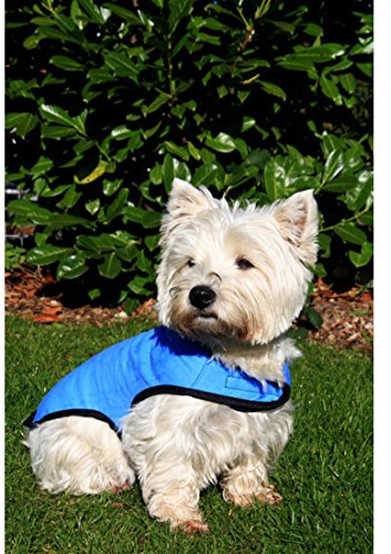 Prestige Hundemantel Cool Cool, Größe S, Blau