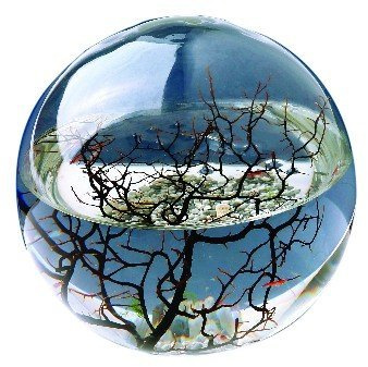 Ecosphere Kugel 10 cm - Mini Aquarium