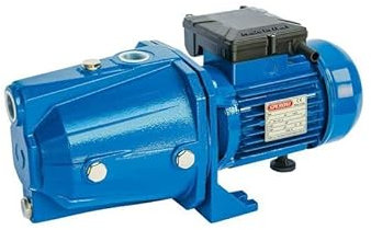 Speroni - Elettropompa autoadescante Cam 100-1 HP - 0,75 kw - 220 Volt 60 l/min - 45 Metri -Pompa monofase