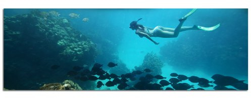 PANORAMA BILD XXL 150x50cm TOP Bilder! (Unterwasser deep blue tauchen Tauchsport) Wandbild xxl günstig & modern ART PRINT Wandbilder Bilder EXKLUSIVES Fotowandbild auf Leinwand und Keilrahmen Bild Leinwandbild Fotodruck modern Zeitlos Stilvoll wie ein Gemälde Ausführung schöner Kunstdruck auf echter Leinwand als Wandbild mit Rahmen. Preiswerter als Ölbild Gemälde Foto Poster Plakat mit Bilderrahmen.