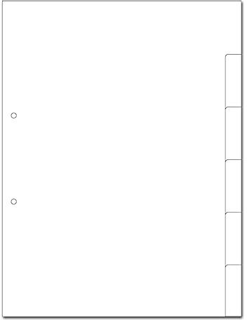 Kartonregister A4 6-teilig blanko weiss, 2-fach gelocht, 50er Pack