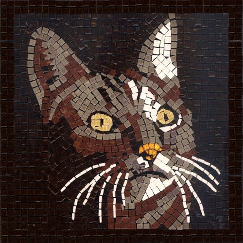 Découvrez l'Art Ancien de la Mosaïque avec Notre Kit pour Adultes, Carré de 20cm Chat