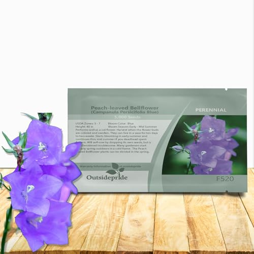 Outsidepride Peach-leaved Blue Bellflower Seeds for Planting - 5000 Pcs Perennial Mat-Forming Flower with Bell Shaped Blooms & Low Growth Habit for Edging Pollinator Gardens, Containers, & Borders