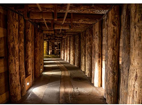 Runa Art Papier peint intissé Mine de bois 3D 352 x 250 cm Toison Mur XXL Tableaux Muraux Tapisserie Photo Décoration Murale Salon Chambre marron 9003011c
