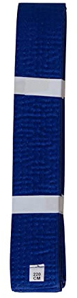 lisaro kampsportbälte Karate Judo Taekwondo Ju Jutsu BJJ bälte storlek 160–300 cm (blå, 200)