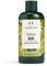 The Body Shop Olive Shower Gel unisex, Olive Duschgel 250 ml, 1er Pack (1 x 250 ml)