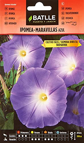 Semillas Batlle Ipomea Azul