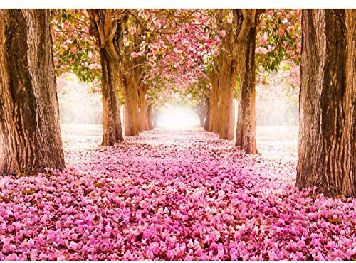 Runa Art Fototapete Wald Blumen Allee 352 x 250 cm Vlies Tapeten XXL Moderne Wandtapete Wohnzimmer Schlafzimmer Rosa 9044011b