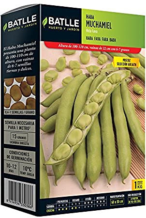 Semillas Batlle Haba Muchamiel Selc. GOLIATH
