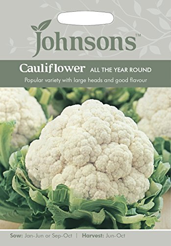 Johnsons 20167 Vegetable Seeds, Cauliflower All The Year Round