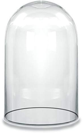CYS EXCEL Dome Glass Cloche (H:10.5 D:6) | Multiple Size Choices Decorative Showcase Display For Antique Collectibles | Bell Jar Terrarium & Dessert Cover