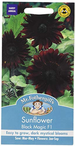 Mr. Fothergill's Magic F1 Sunflower Seed - Black