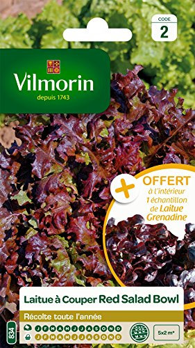 Vilmorin 3609842 Pack de Graines Laitue à Couper Salade Bol Rouge + Echantillon Laitue à Couper Grenadine