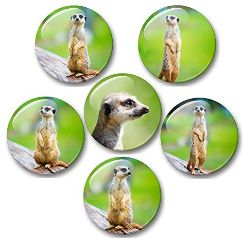 Merchandise for Fans Erdmännchen - 6 große Kühlschrankmagnete [ 01 ]