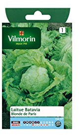 Laitue Batavia Blonde de Paris