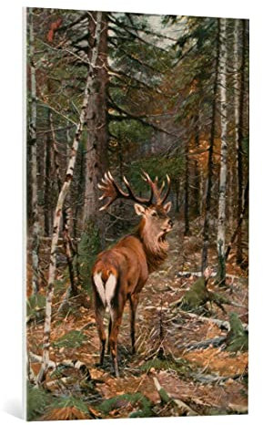 kunst für alle Leinwandbild: Richard Friese Sichernder Hirsch - hochwertiger Druck, Leinwand auf Keilrahmen, Bild fertig zum Aufhängen, 65x100 cm