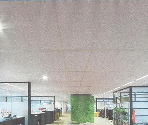 Rockfon Ekla faux plafond en panneau de laine de roche 60 x 60 cm