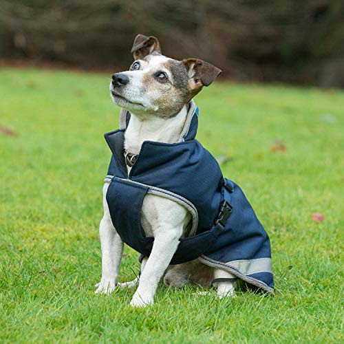 Bucas Freedom Dog Blanket Hundemantel 300g (Navy, 30)