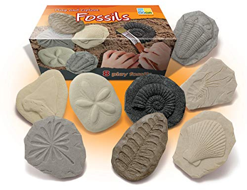 Yellow Door Let's Investigate – Fossils | Early Educational Learning |Stem| Fossil Dig For Kids Age 2,3,4,5 | Dinosaurs |Excavation Set | Outdoor Science Toys |Ammonite, Trilobite | Messy Play