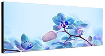 Augenblicke Wandbilder Keilrahmenbild Wandbild 150x50cm Orchideen Blüten blau rosa