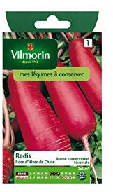 Vilmorin - Sachet graines Radis rose d'hiver de chine