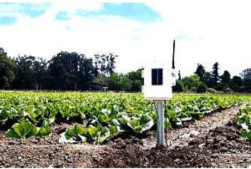 Davis Wireless Leaf & Suolo Umidità/Temperatura Stazione (completa) Include quattro ogni 6440 & 6470