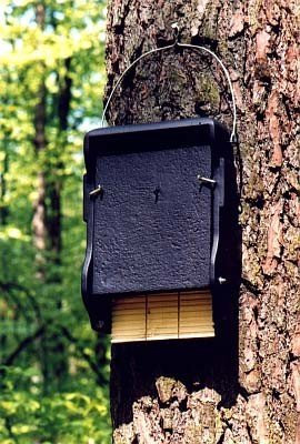 1 FF Bat Box flach  Nistkasten für Chiroptera