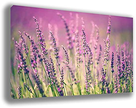 Quadro Moderno FIORI LAVANDA - Tantissime Misure e Formati Disponibili - Stampa su Tela Canvas in HD - Quadri Moderni - Fornito già intelaiato e pronto da appendere printerland.it (30x50 cm)