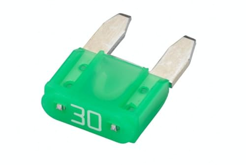 HELLA Fusibile - Fusibile a spina piatta mini - 30A - verde - Quantità: 5