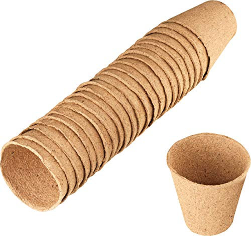 Sunflower FLOR79100 Set da 24 Vasetti Biodegradabili, Rotondi, 6 cm, 39x0.5x40 cm