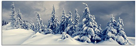 Paul Sinus Art Panoramabild auf Leinwand und Keilrahmen 150x50cm Winterlandschaft Bäume Schnee Wolken