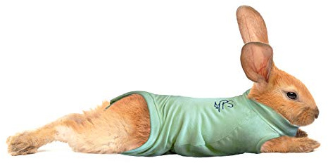 MPS Medical Pet Shirt Kaninchen, Grün, XS