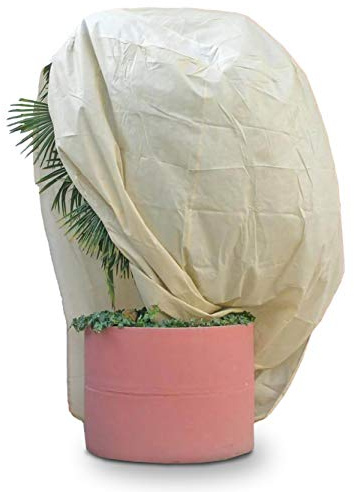 NOOR Winterschutzhaube PRO 4XL - Beige 250x350 cm | Frostschutz Wintervlies für Topf- & Kübelpflanzen - atmungsaktiv, wasser- & lichtdurchlässig - mit Zugband und Reißverschluss
