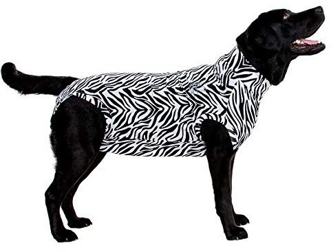 MPS Medical Pet Shirt Hund, Zebra Print, XL