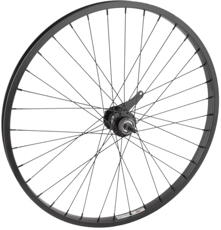 WheelMaster 24 Cruiser/Comfort Rear Wheel - Weinmann AS7X Rim, 36H, Coaster Hub, Black