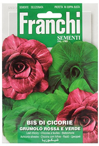 Franchi Bis of Chicories