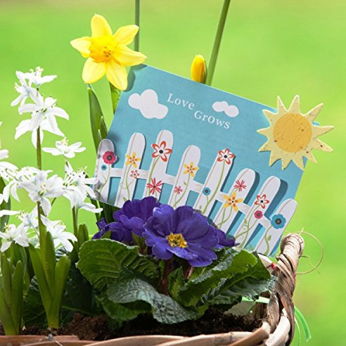 Vanharte Gastgeschenk Hochzeit Love Grows Blumensamen 12er-Set
