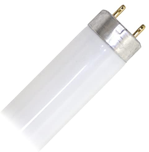 Leuchtstofflampe L 36 Watt 865 - Osram 36W Tageslicht