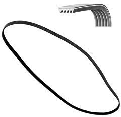 Courroie 1930 H7 à laver Poly-V
