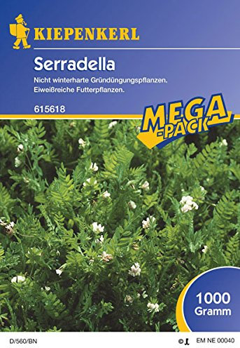 Serradella - 1 kg Gründünger Mega-Pack