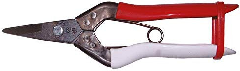 Okatsune 307 cutting scissors with short blade, suitable for harder (wood) trunks