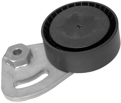 3RG INDUSTRIAL - Rodillo Tensor- OEM 64552245584 PQG100340 - Piezas para Coche Recambios Motor y Otras Partes de Vehículo | Compatible con los Modelos de Coche y Moto indicados más Abajo.