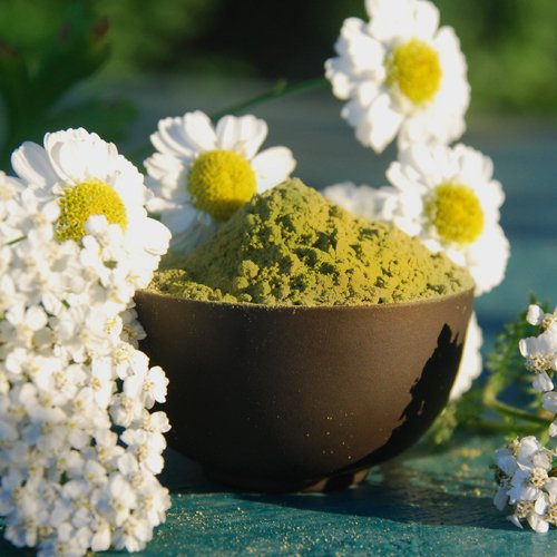 Moringa oleifera Tee-Pulver - 100% reine Premiumqualität 1kg