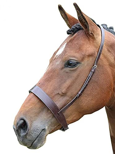 Blenheim Hunter Kappzaum Reithalfter Pferd Equestrian Reiten zeigt Zweispänner Braun braun XFULL